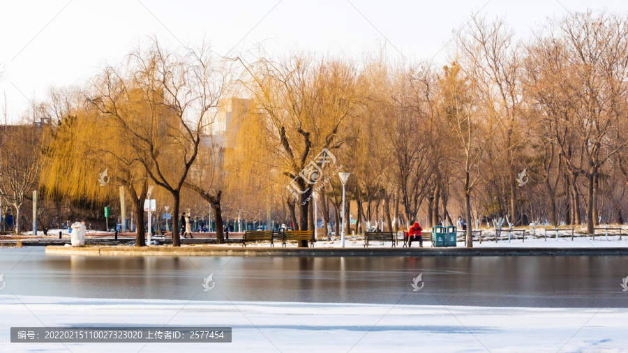 雪后的泰丰公园