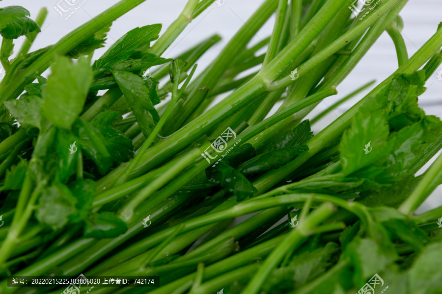 新鲜蔬菜水芹菜