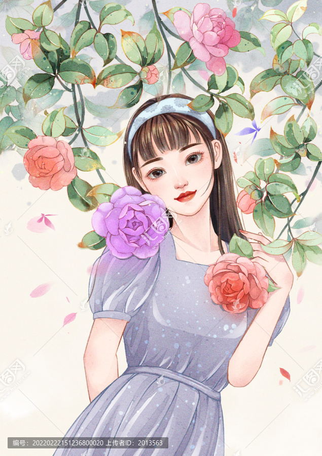 山茶花女孩插画