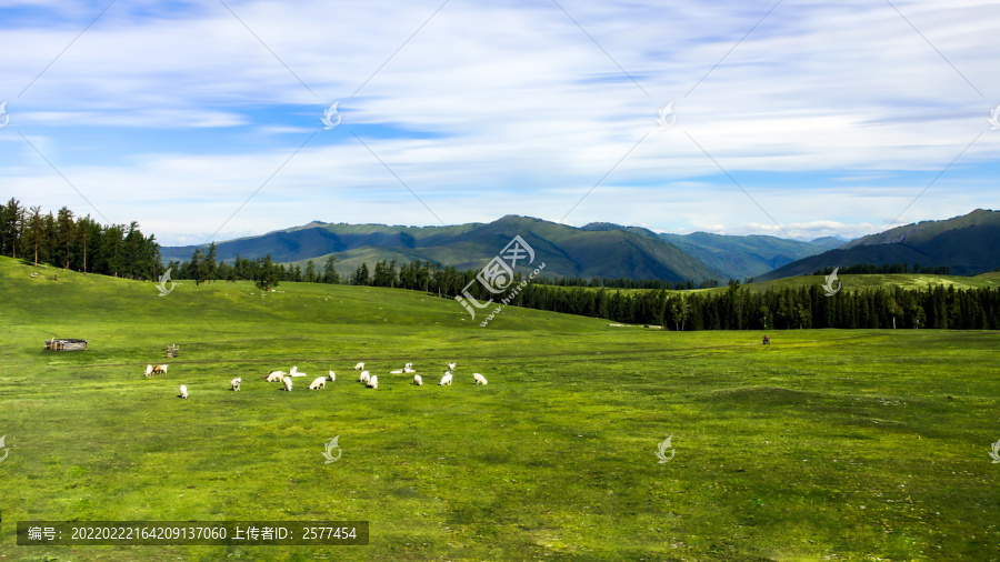 白哈巴风景区