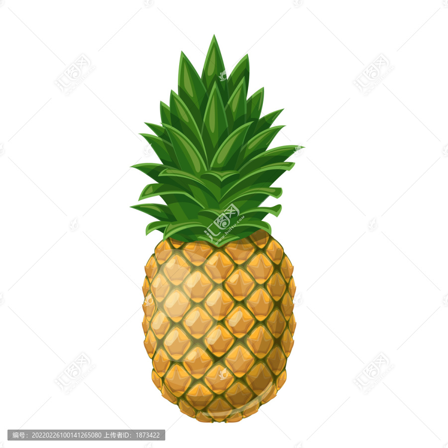 热带菠萝插图
