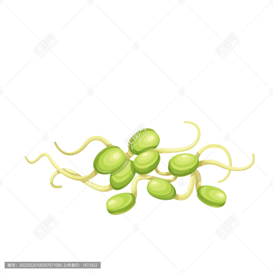 绿色豆芽插图