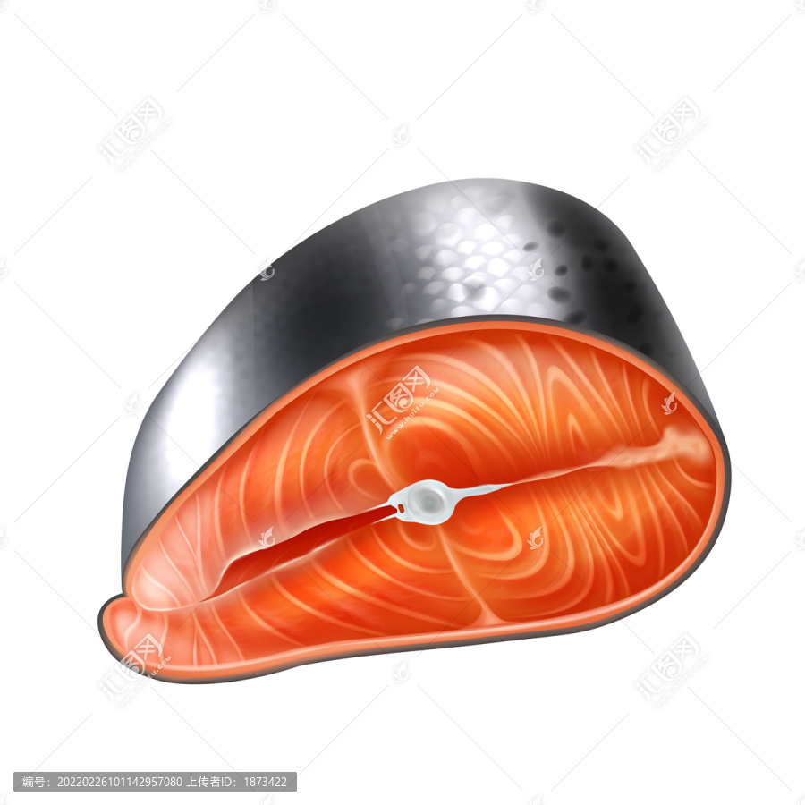 橘红三文鱼肉块插图