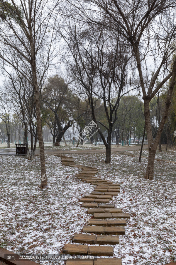 积雪树林步道