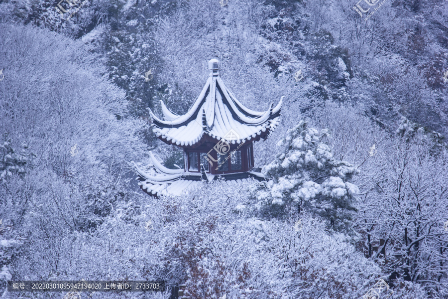 苏州冬天大阳山雪景