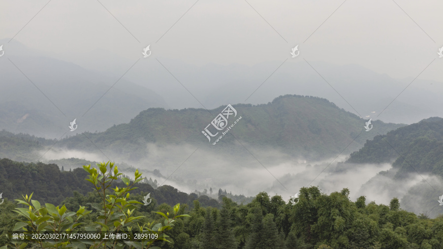 云雾缭绕高山沟壑茶山风光