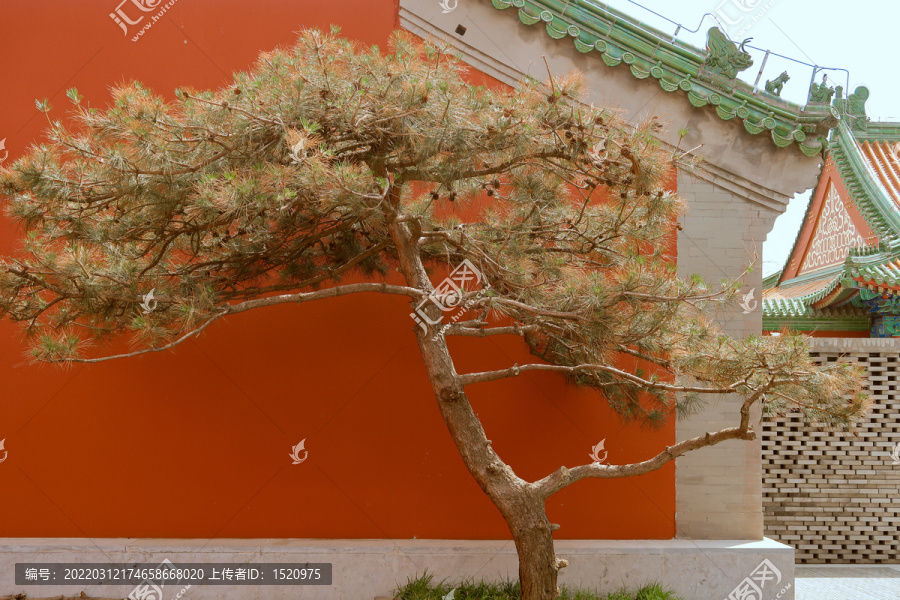 北京隆福寺空中庭院明清建筑