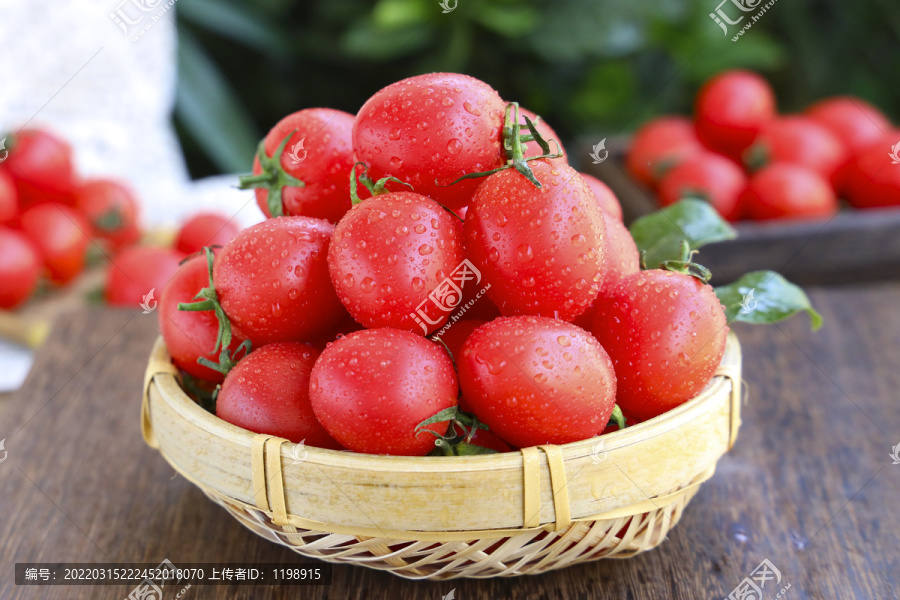 圣女果小番茄