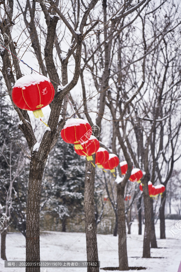 落雪的红灯笼