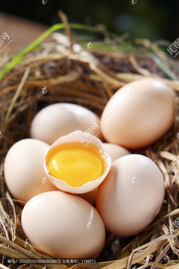 鸡蛋农家土鸡蛋