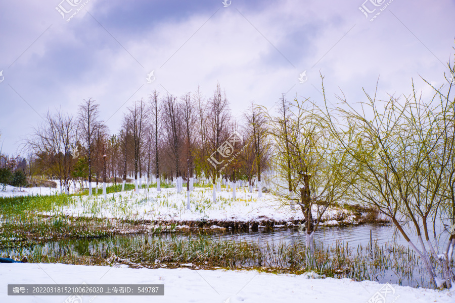 雪地