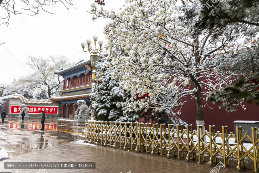 北京城市红墙雪景