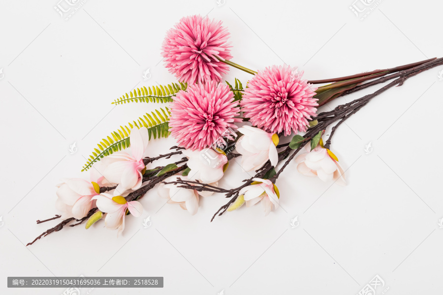 花朵花卉平铺白背景抠图素材