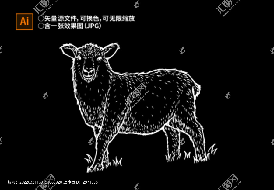 羊肉包装黑白线稿插画