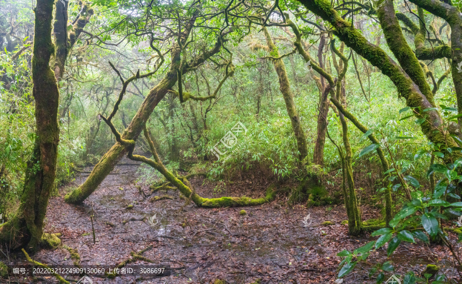 桂林猫儿山漓江源湿地