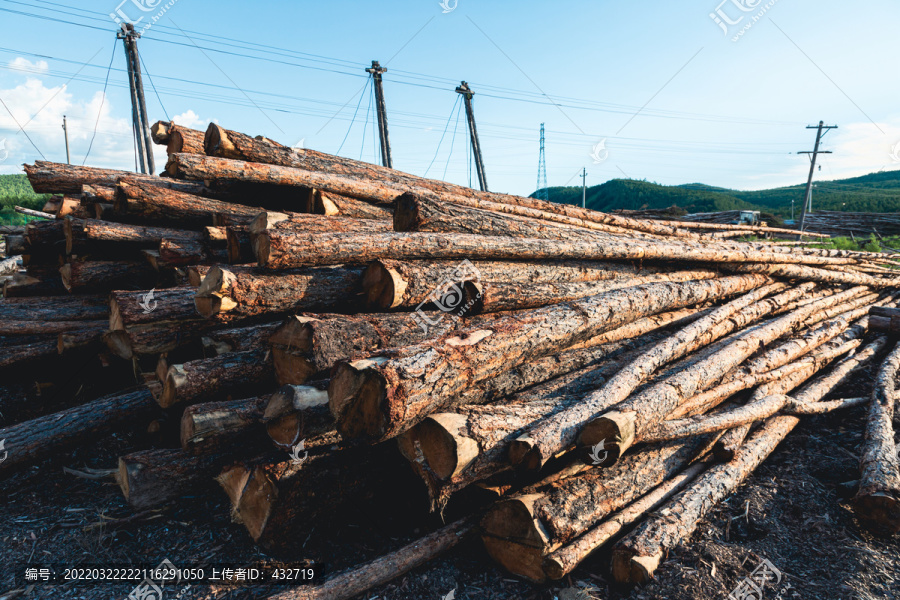 林业木材贮木场