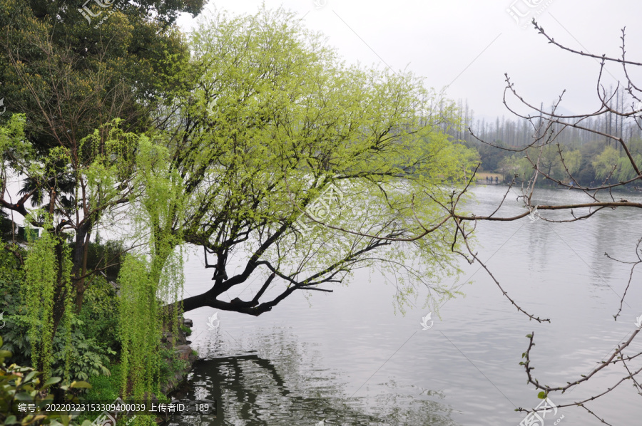 烟雨中的杭州西湖