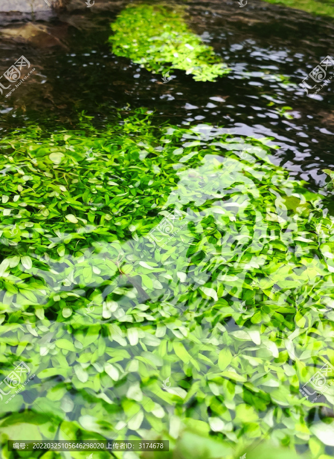 田园河流风景照