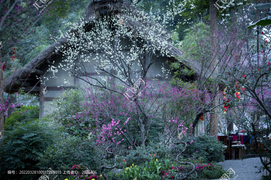 家居花丛