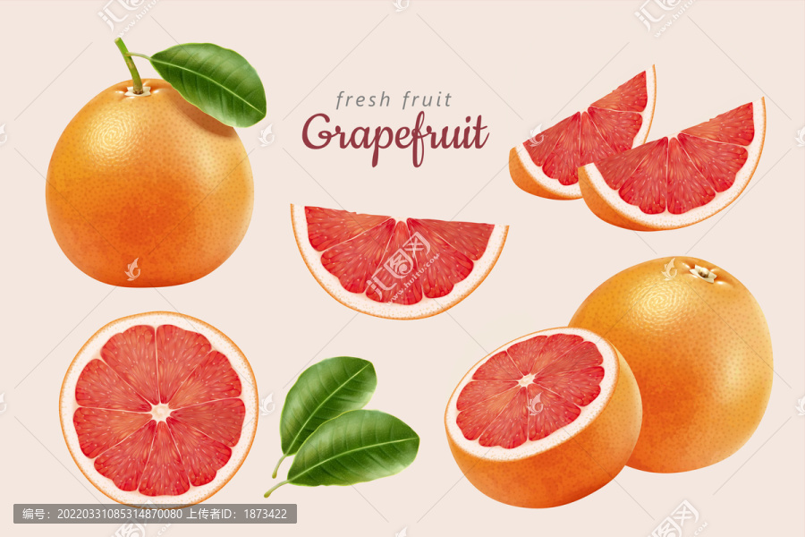 美味写实多角度切片葡萄柚插图