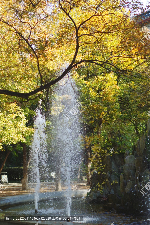 山东大学趵突泉校区喷泉