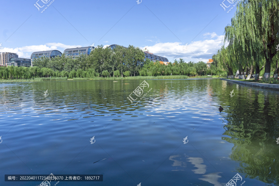 湖