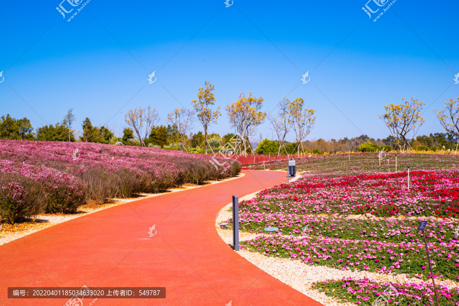 花园步行道