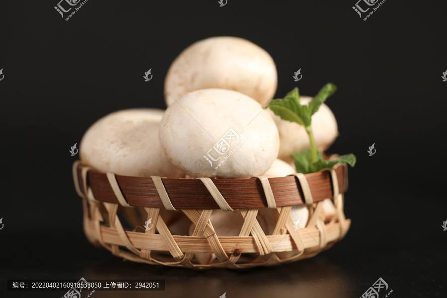 白色低上的白色蘑菇