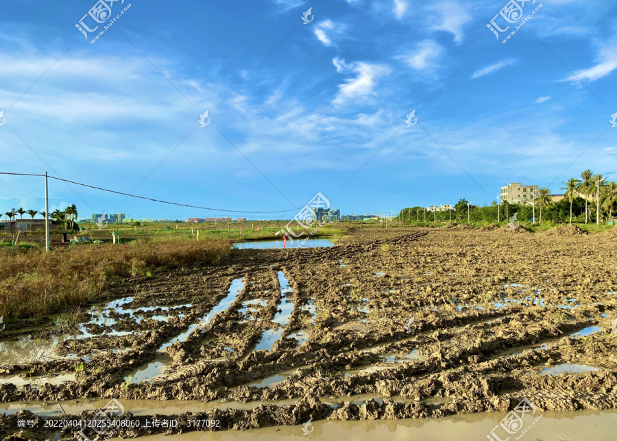 农田风景