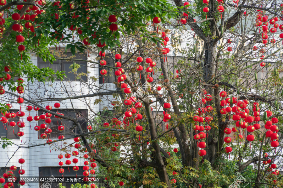 春节年味浓