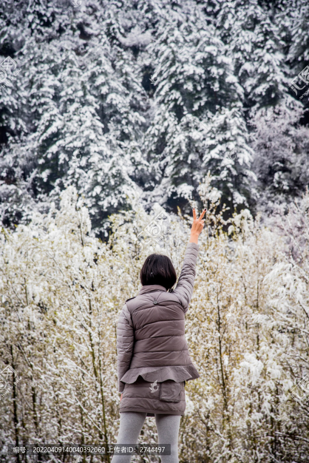 下雪