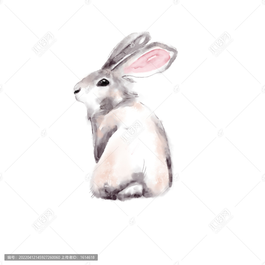 水彩ps手绘可爱动物兔子元素