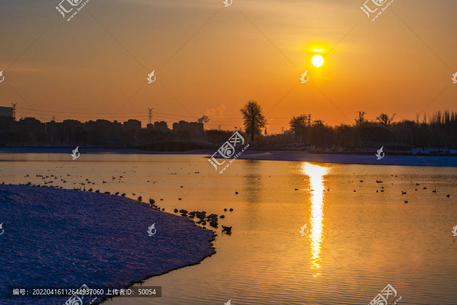 北京南海子天鹅湖日出