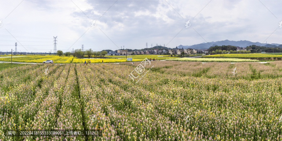 兰溪岩头村彩色油菜花航拍全景