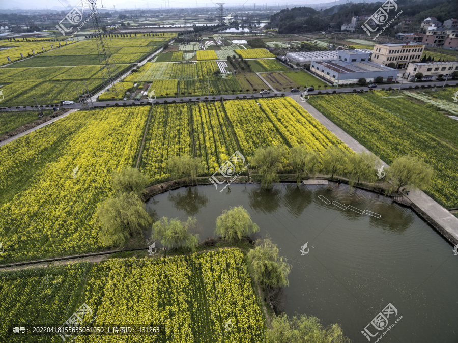 浙江兰溪岩头村油菜花田航拍