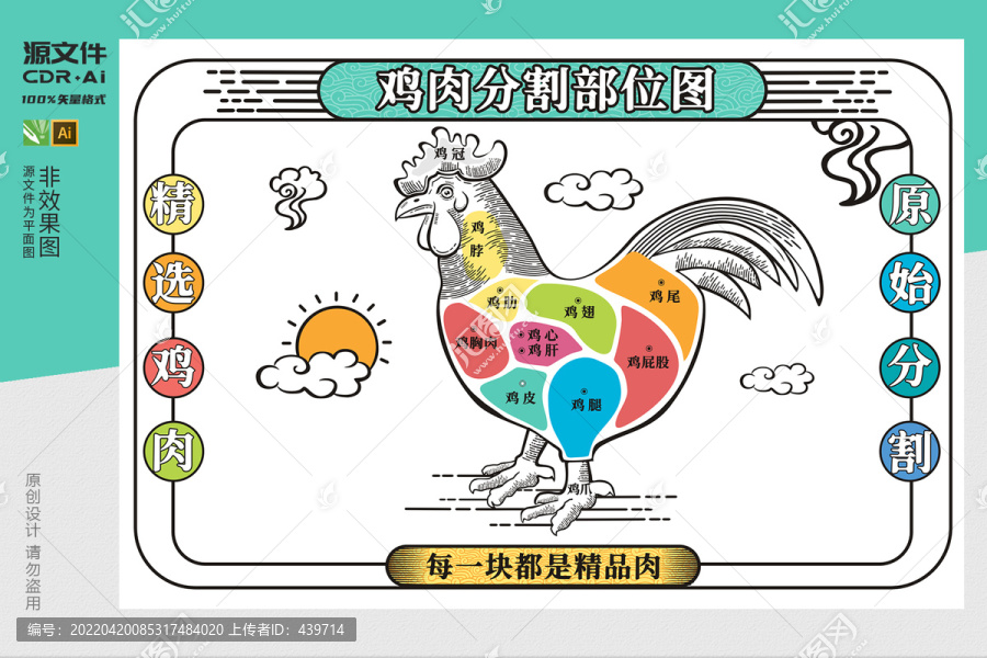 鸡肉部位分割图