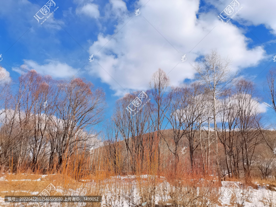 大山里的早春