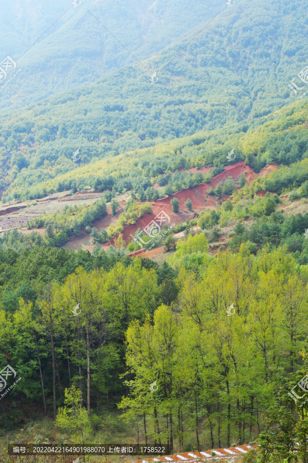 云南高山田野