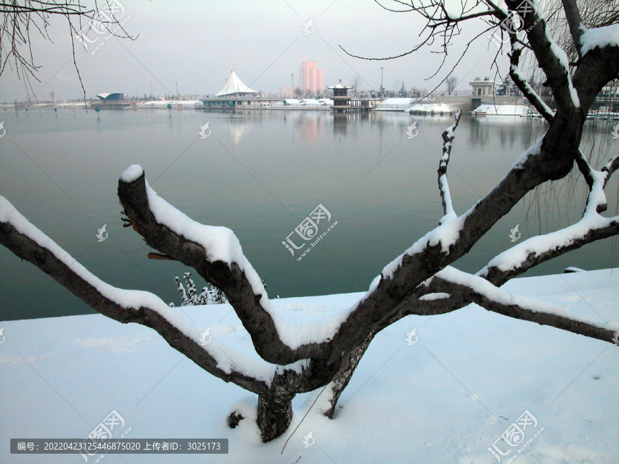 雪后小景