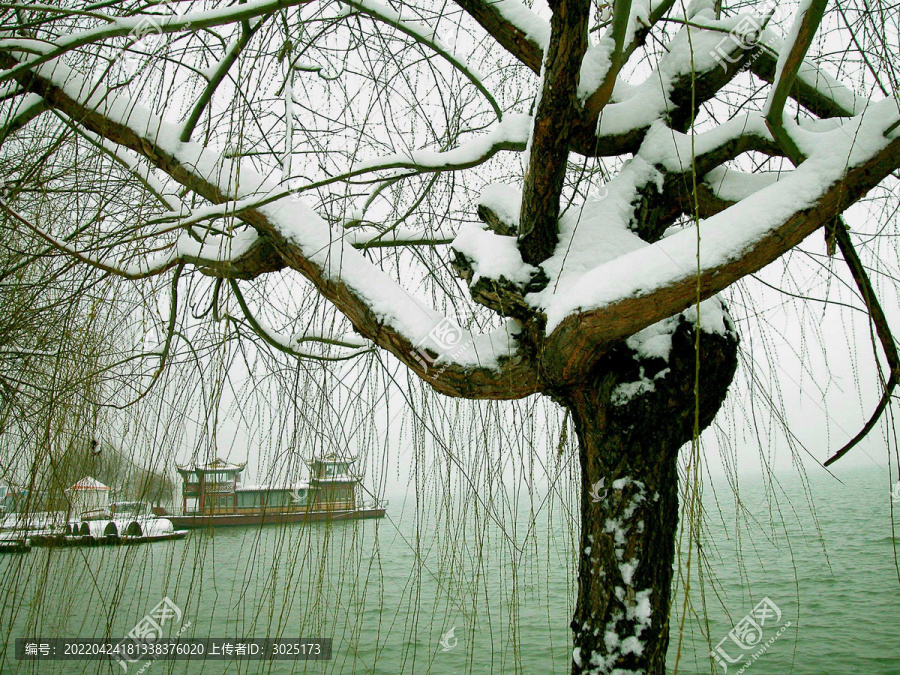 雪后小景