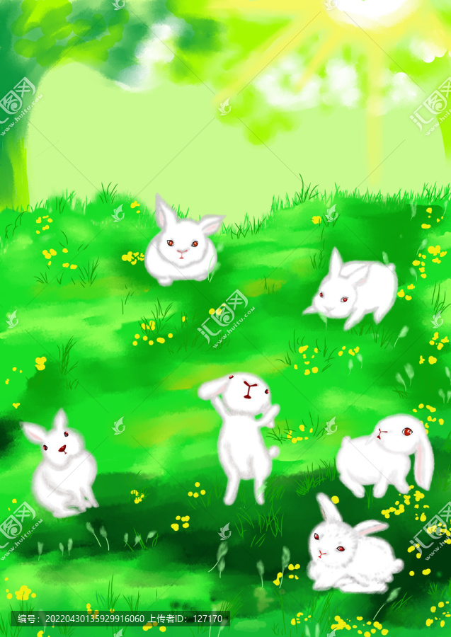 草地上的兔兔