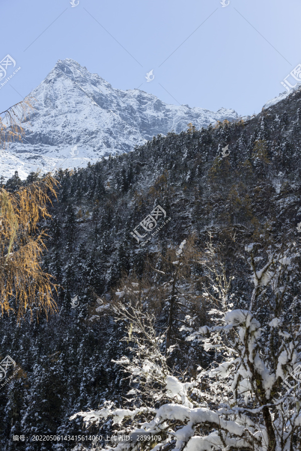 蓝天雪山森林自然风光