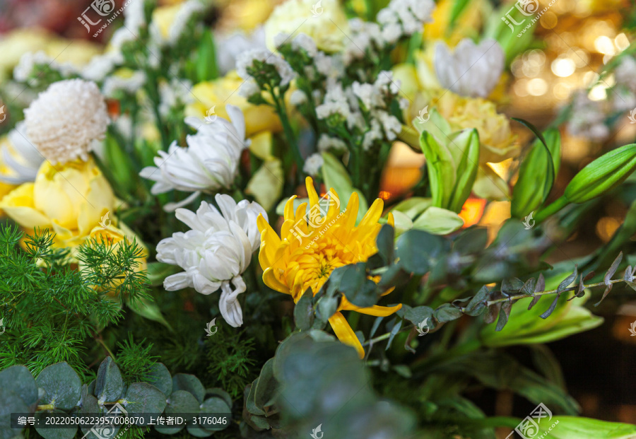 五台山寺庙鲜花清明节菊花