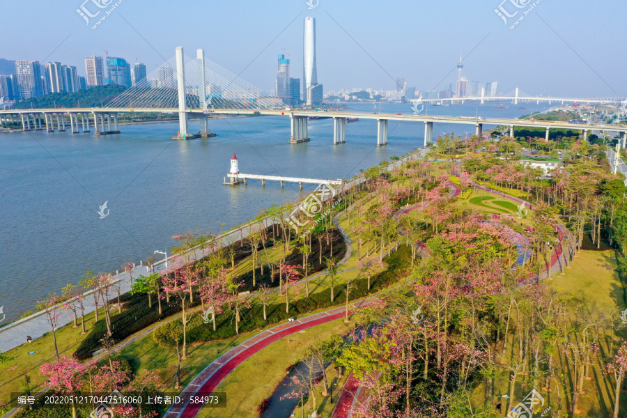 航拍广东珠海横琴花海长廊