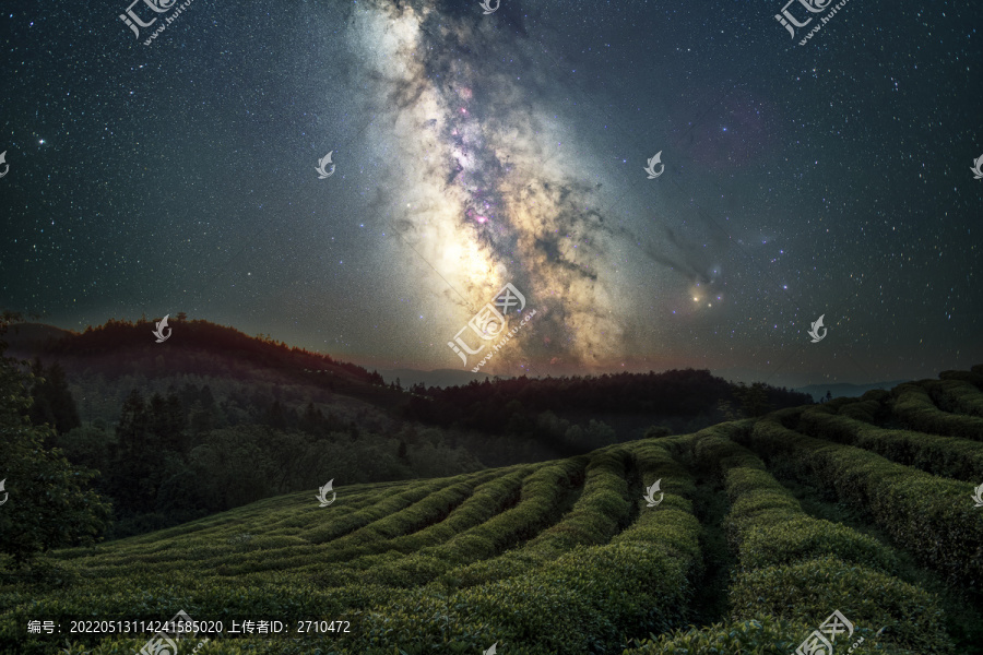 重庆武隆贡茶园星空摄影图