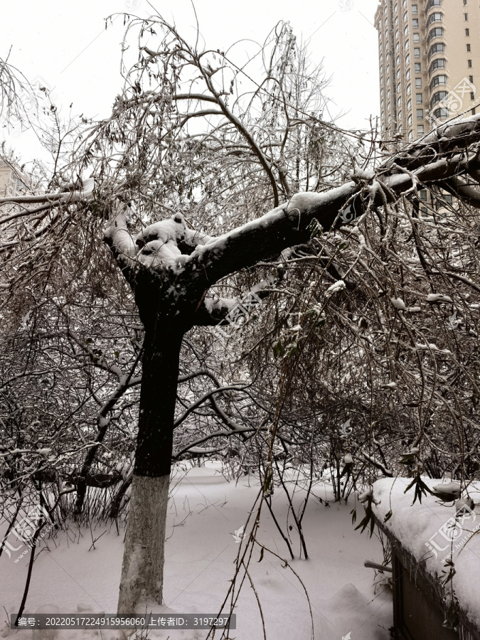 冰雪自然灾害