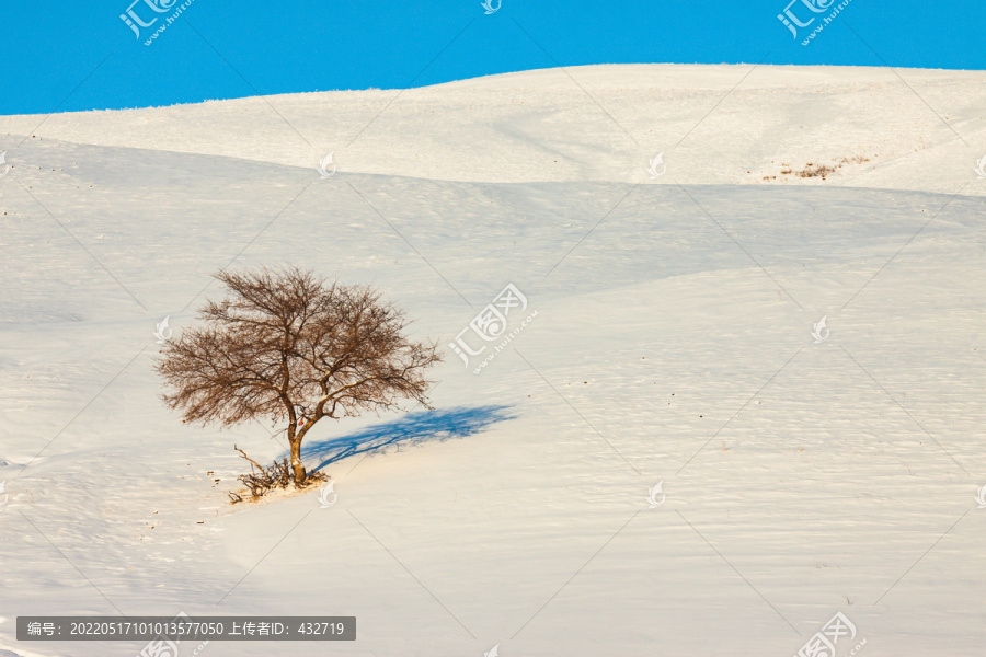 雪域雪山雪地一棵树