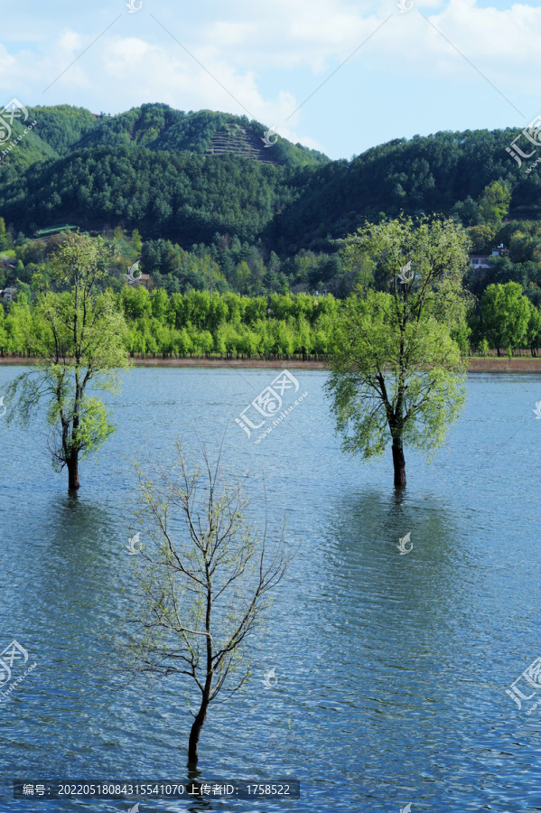 会泽湿地自然保护区