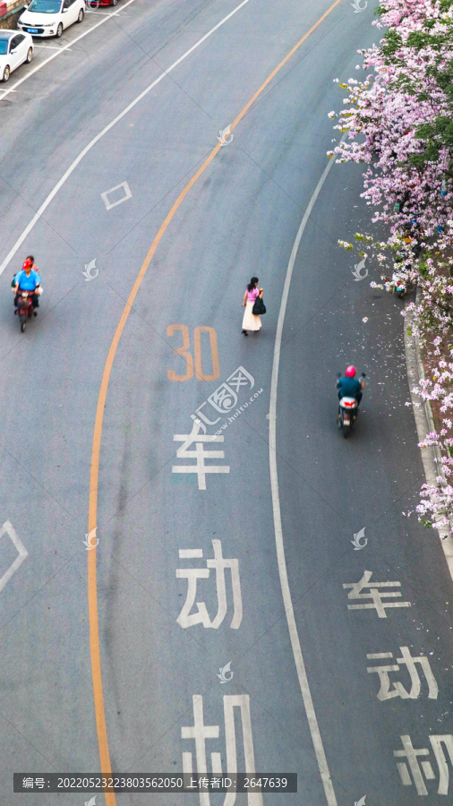 道路上的行人