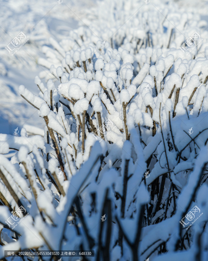 雪